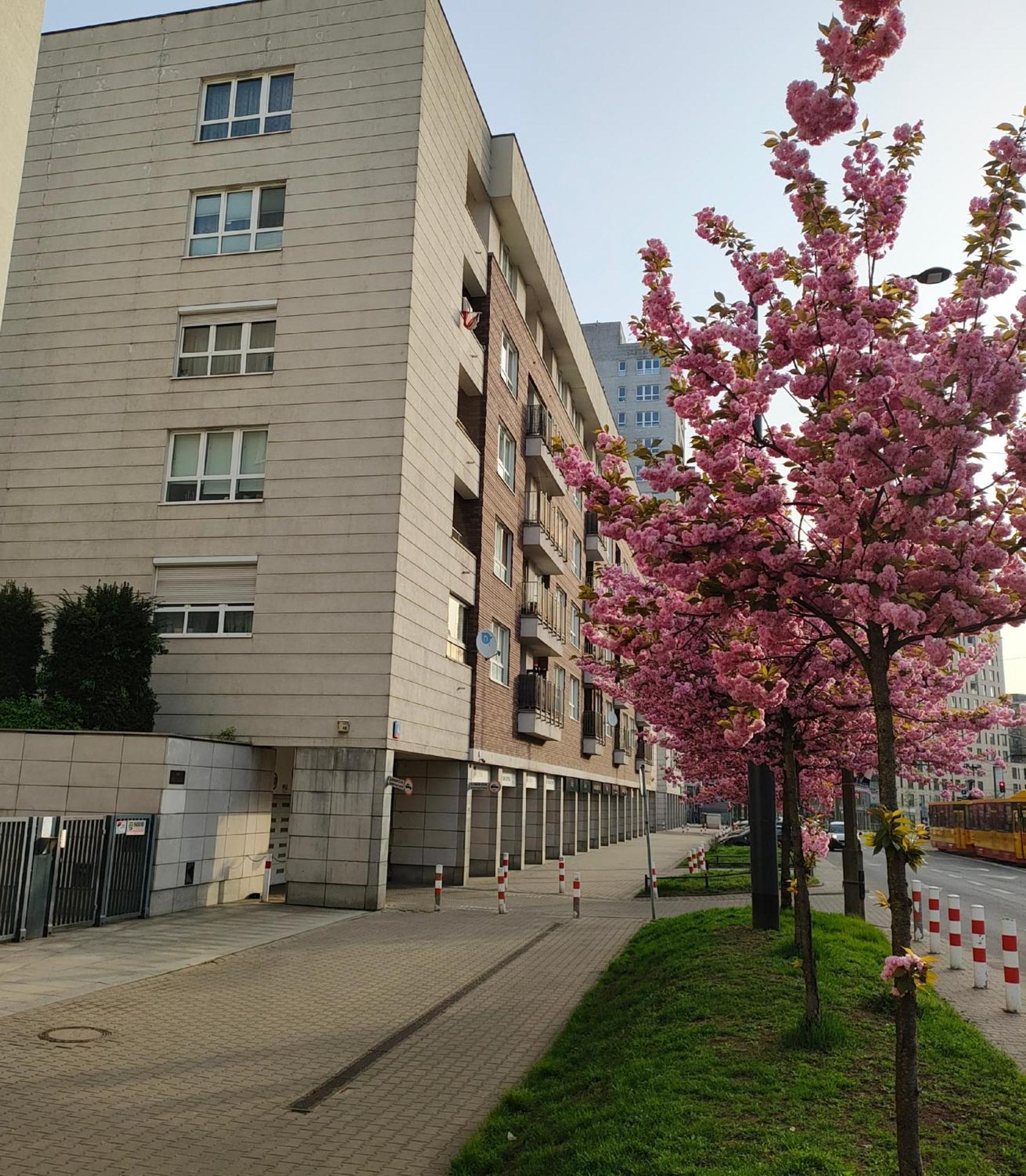 Apartmán Totutotam_02 Varšava Exteriér fotografie